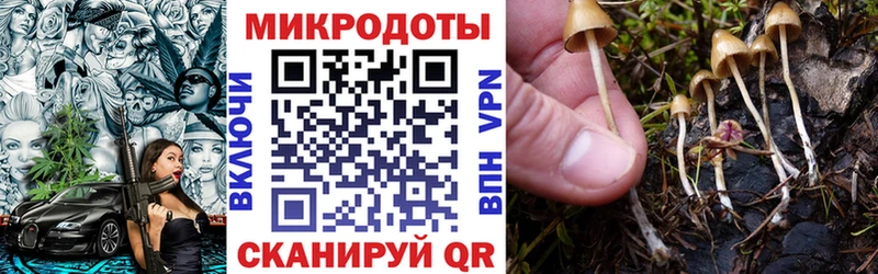 Галлюциногенные грибы GOLDEN TEACHER  Скопин 