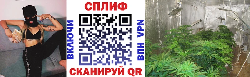 omg зеркало  цены наркотик  Скопин  Бошки марихуана VHQ 